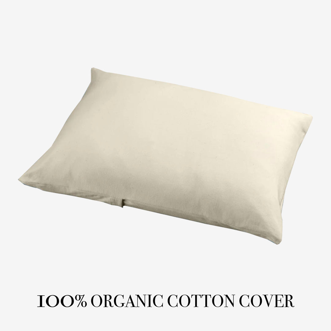 August Child Standard Pillow with Organic Cotton Cover
